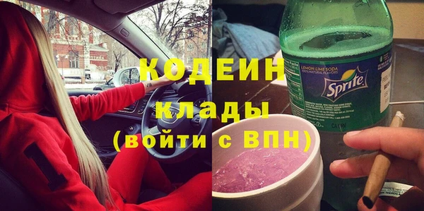 сатива Арсеньев