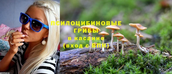 spice Армянск