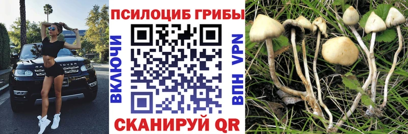 Псилоцибиновые грибы ЛСД  Геленджик 